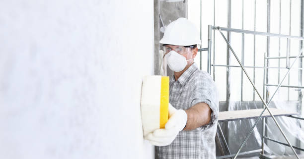 Best Mold Remediation for Healthcare Facilities  in USA